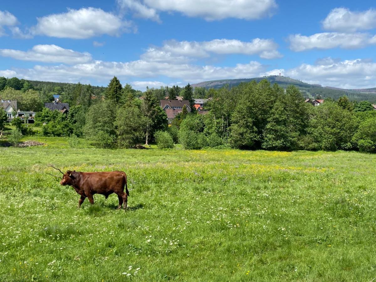 Berglage - Das Urlaubzuhause Braunlage Luaran gambar