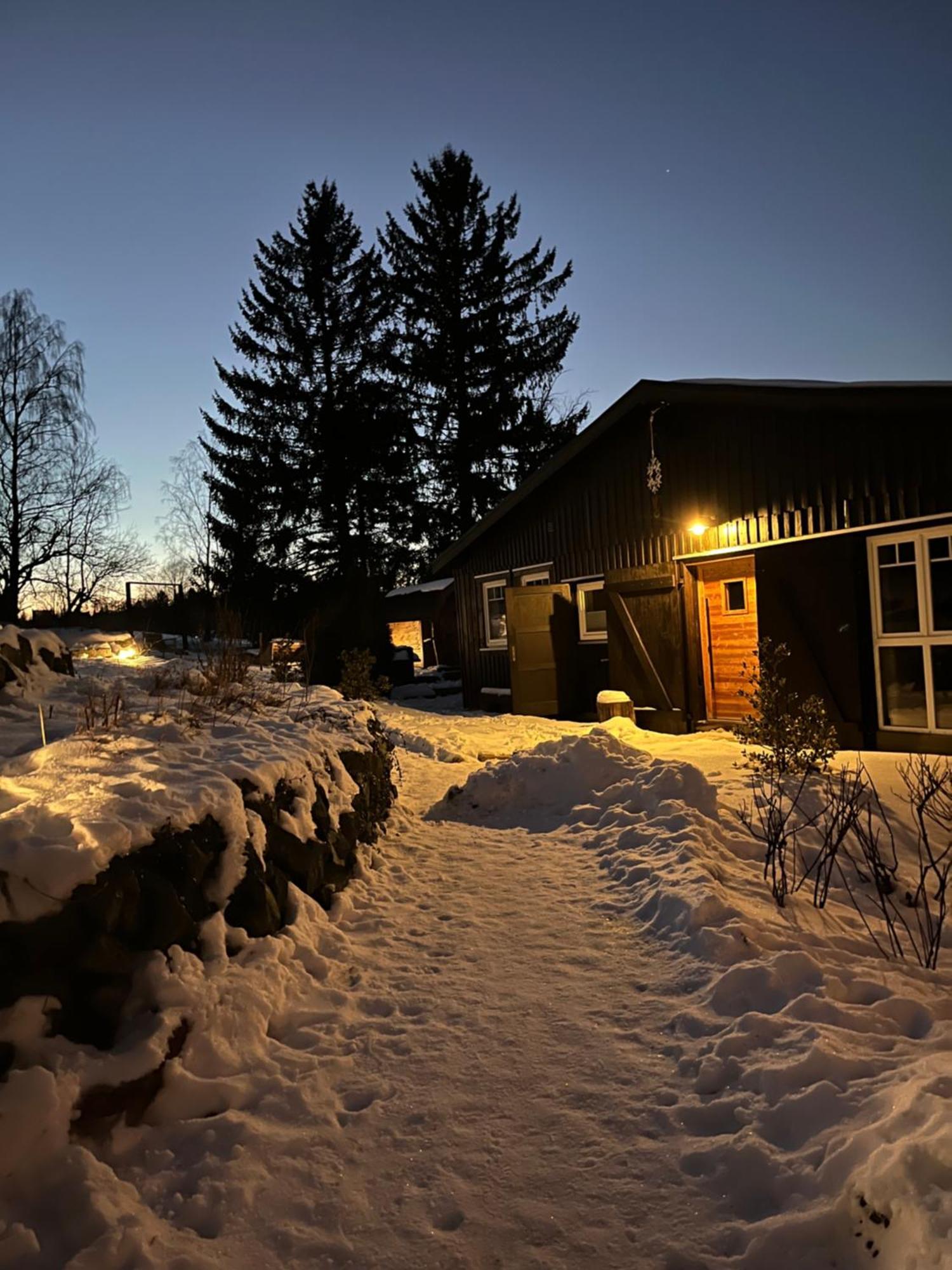 Berglage - Das Urlaubzuhause Braunlage Luaran gambar